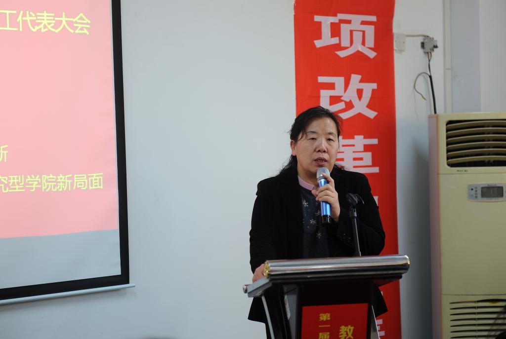 张潮院长做工作报告